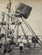 Images/41M