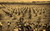 Images/45m