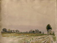 Hungarian Landscape